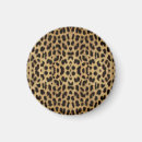 Search for leopard pattern magnets Cat