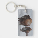 Search for three animals key rings Wildlife