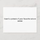 Search for insert postcards Photograph