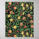 Search for pomegranate fruit posters William morris