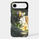 Search for sleeping cat iphone cases Funny