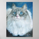 Search for ragdoll posters Fluffy