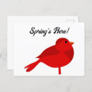 Search for rockin postcards Bird