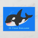 Search for orca the whale postcards Funny