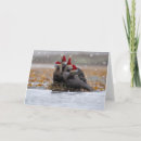 Search for otter christmas cards Adorable