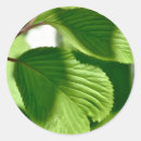 Search for leafy green stickers Leaves