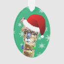 Search for alpaca home decor Funny