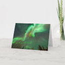 Search for northern lights cards Trees