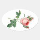 Search for vintage rose pattern stickers Botanical