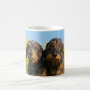 Search for dachshund photo mugs Dog