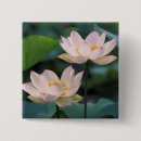 Search for white bloom badges Blossom