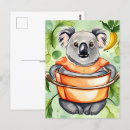 Search for koala postcards Postcrossing