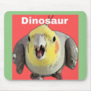 Search for cockatiel gifts Birds