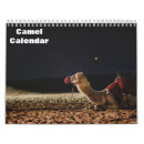 Search for camel calendars Egypt
