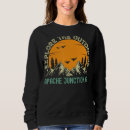 Search for apache hoodies Junction