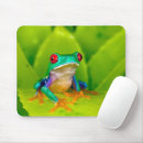 Search for frog mousepads Anura