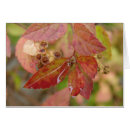 Search for drop leafs cards Water