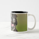 Search for excited mugs Joy