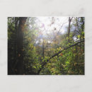 Search for adirondacks photography Nature
