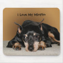 Search for purebred electronics Canine