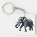 Search for tusk key rings Elephant