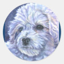 Search for bichon frise stickers Pets
