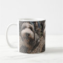 Search for beardies mugs Pets