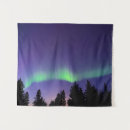 Search for provincial park posters Aurora borealis