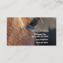 Search for quarter business cards Photography