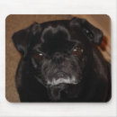 Search for wrinkle mousepads Pet