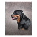 Search for cute rottweiler posters Beautiful
