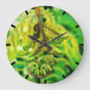Search for new zealand clocks Rainforest