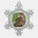 Search for abyssinian cat Pets