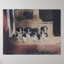 Search for border collie painting posters Farm