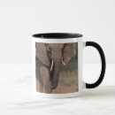 Search for kenya mugs Mammal