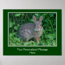 Search for bunny quote posters Rabbit