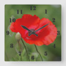 Search for poppy clocks Nature