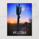 Search for scottsdale postcards Souvenir
