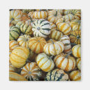 Search for gourd magnets Autumn