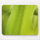 Search for environment mousepads Vertical