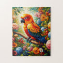 Search for sun conures Cute