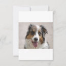 Search for australian shepherd thank you cards Dog