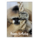 Search for gibbon cards Monkey