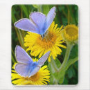 Search for butterfly mousepads Insect