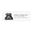 Search for schnauzer return address labels Watercolor