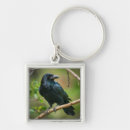 Search for branch key rings Crow