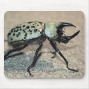 Search for beetle mousepads Bug