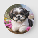 Search for shih tzu clocks Flowers