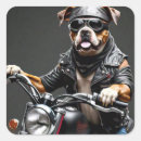 Search for boxer dog stickers Funny