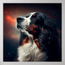 Search for dog star posters Funny
